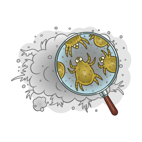dust-mite-1.png