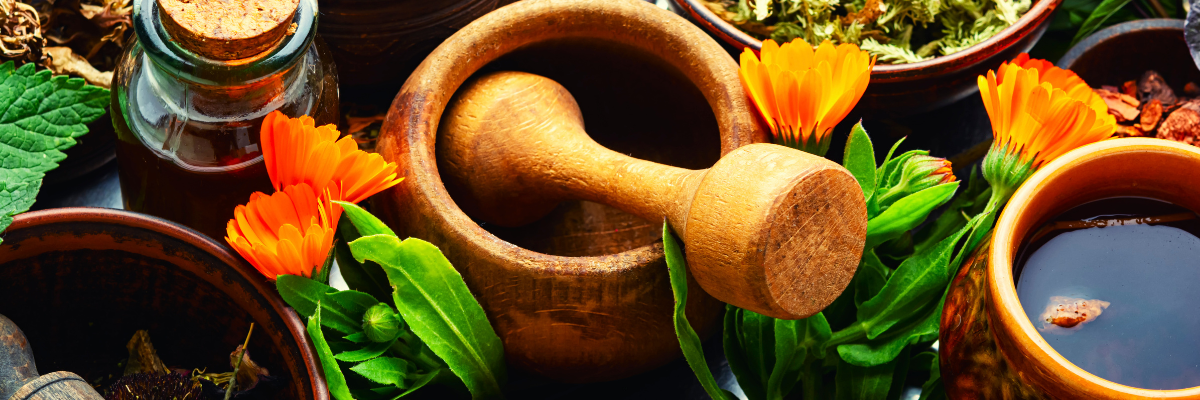 Plantas medicinais e seus tratamentos mais usados